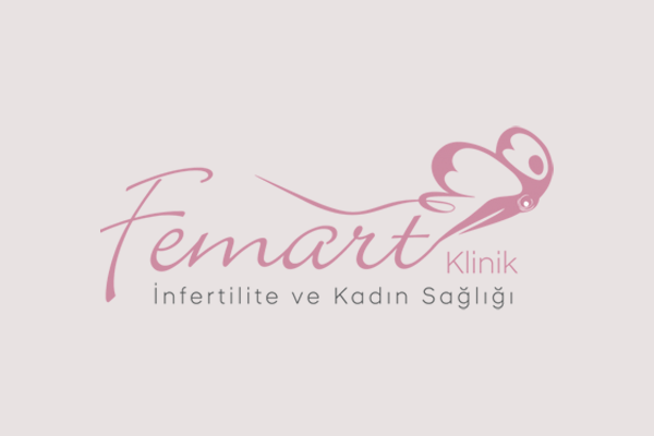 Prof. Dr. Hulusi Zeyneloğlu - Obstetrician, Gynecologist and IVF Specialist